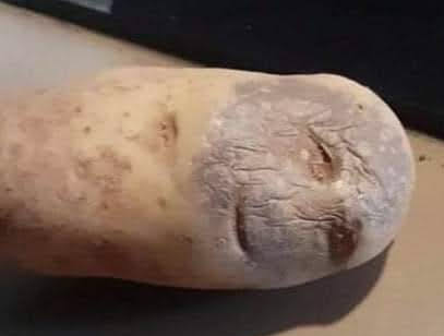 potato with face meme