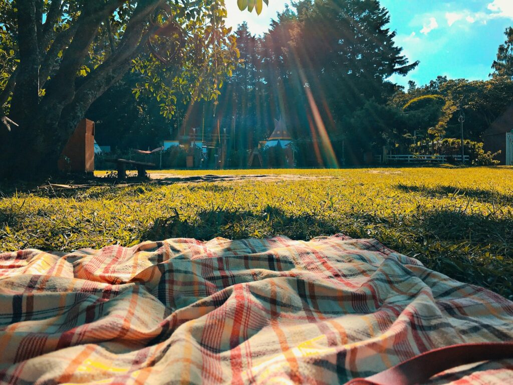 a picnic blanked with sunlight rays in background