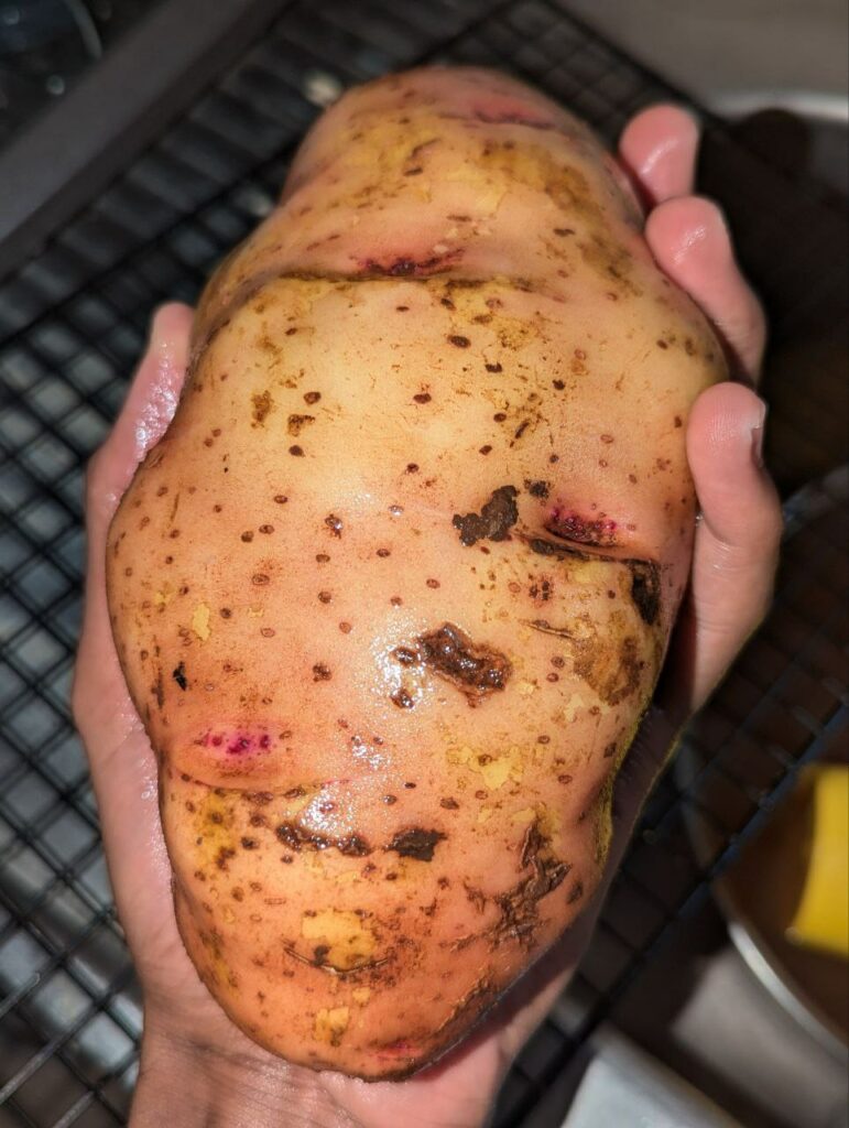 baking potato