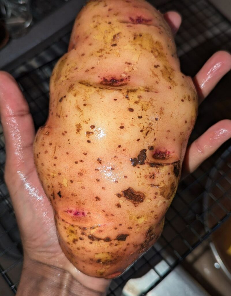 large potato for fries